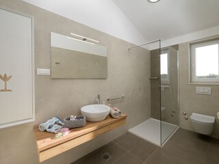 Villa Manjadvorci Caratteristiche 24