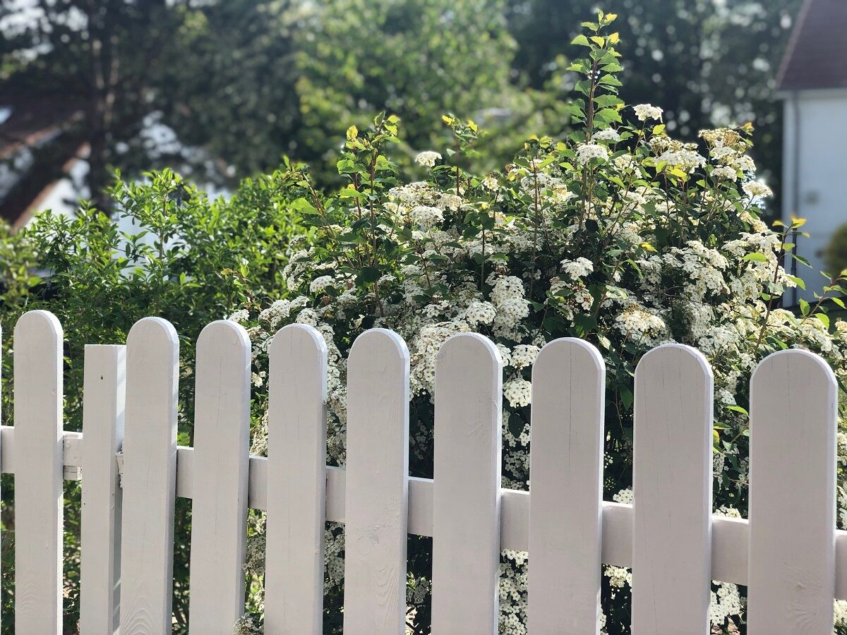 Geschützt auf der Terrasse