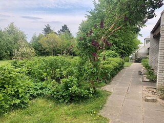 gepflegter begrünter Aussenbereich