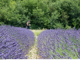Hiking around the lavender fields