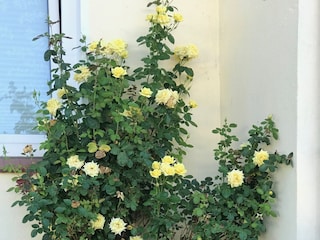 Eingangsbereich