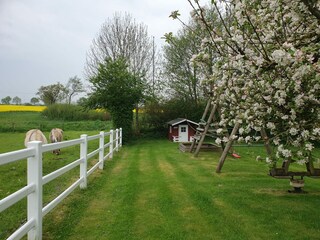 Garten mit angrenzender Pferdekoppel