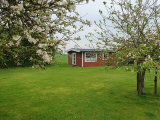 Rotes Haus vom Garten aus