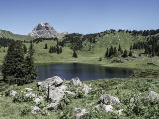 Vakantieappartement Schröcken Omgeving 26