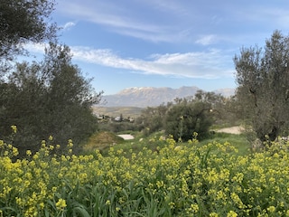 Kamilari und Umgebung im Frühling