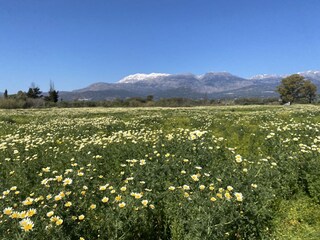 Unsere Berge mit Schnee im Frühling