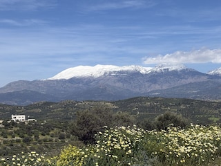 Blick vom Haus im Frühjahr in die Berge