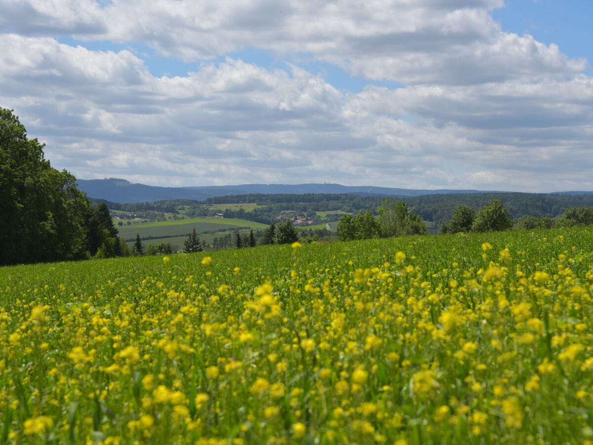 Landschaft bei Plaue