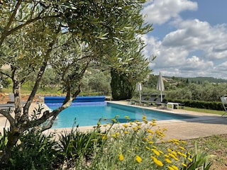 The pool
