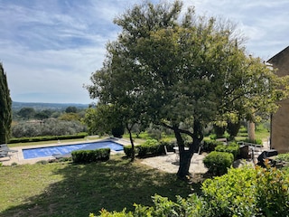 the garden