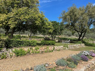 the garden
