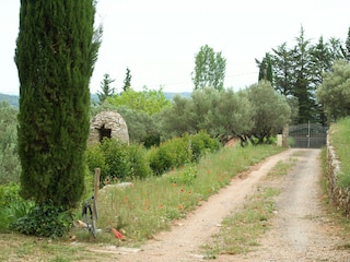 the alley