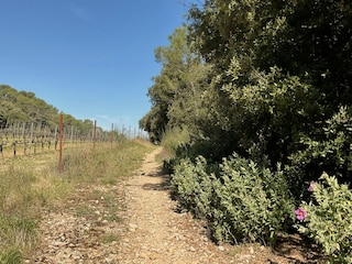 Cottage Sillans-la-Cascade  28