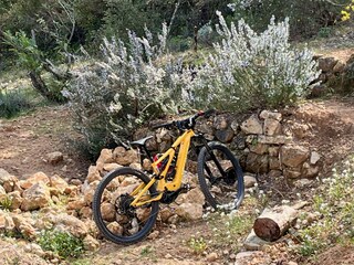 Cottage Sillans-la-Cascade  38