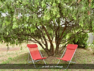 the garden
