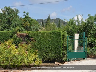 the garden
