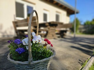 Frühling