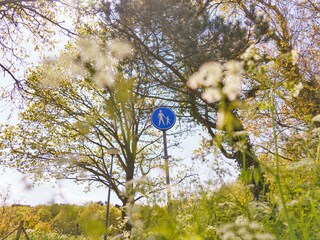 Villa Callantsoog Ambiente 25