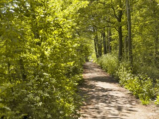 Villa Callantsoog Ambiente 26