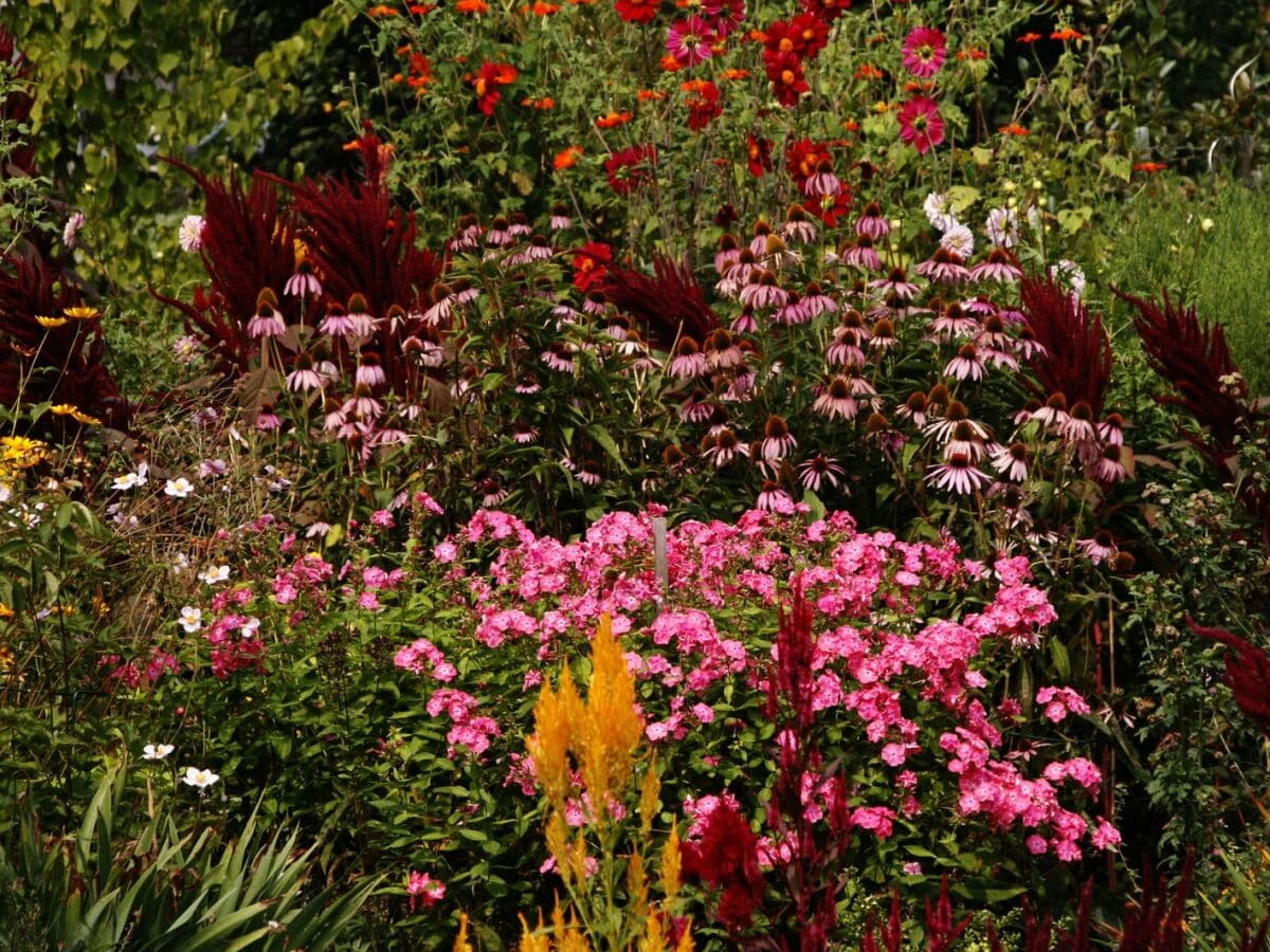 Bauerngarten Fraueninsel