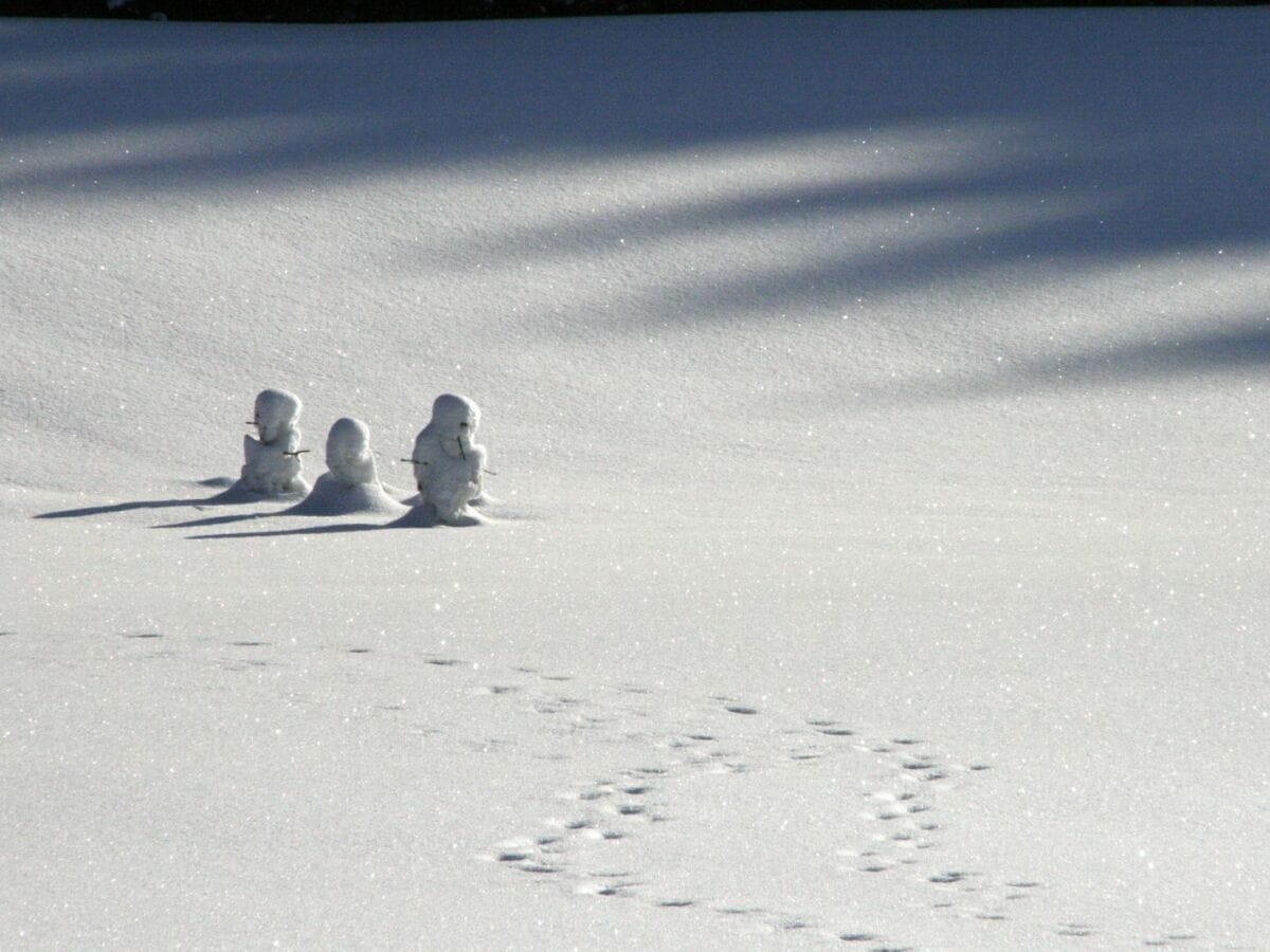 Schneekinder