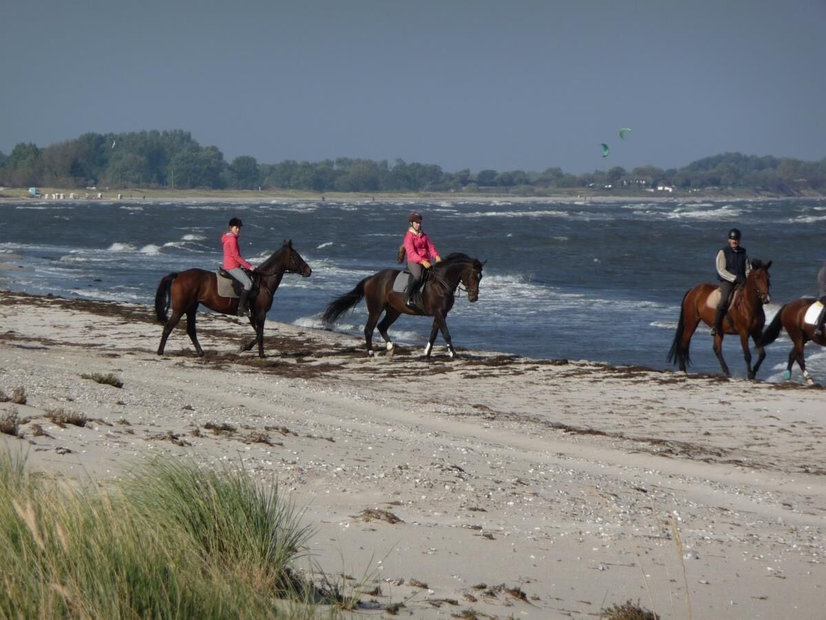 Ausritt am Strand