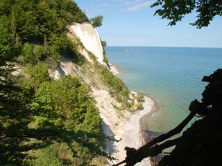 Der Königstuhl ganz in der Nähe