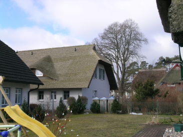 Ferienhaus Zeese