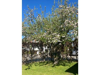 Frühlingsimpressionen