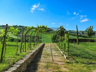 Appartamento Montefiore Conca Registrazione all'aperto 12