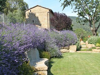 Villa Cortona Außenaufnahme 7