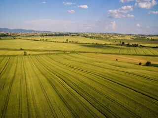 Villa Cortona Environment 33