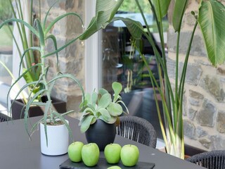 Villa Tuoro sul Trasimeno  37