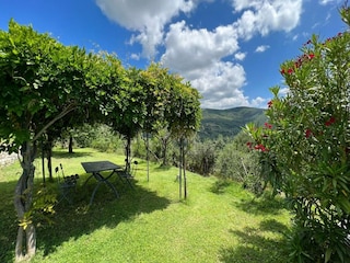 Villa Cortona Außenaufnahme 15