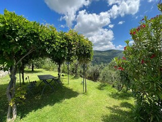 Villa Cortona Registrazione all'aperto 15