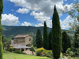 Villa Cortona Buitenaudio-opname 12
