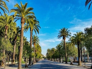 Apartment Colonnella Umgebung 18