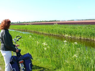 Appartamento per vacanze Schoorl Ambiente 22