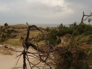 Appartamento per vacanze Schoorl Ambiente 23