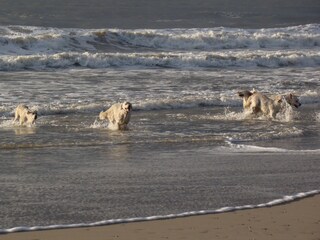 Appartamento per vacanze Schoorl Ambiente 20