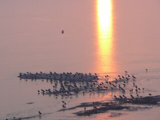 Appartamento per vacanze Schoorl Ambiente 17