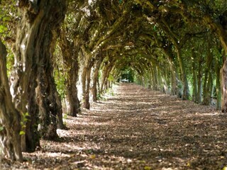 Parc de vacances Roggel Environnement 16