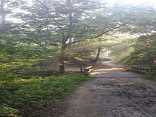 Ferienpark Roggel Umgebung 13
