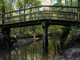 Vakantiepark Roggel Omgeving 17