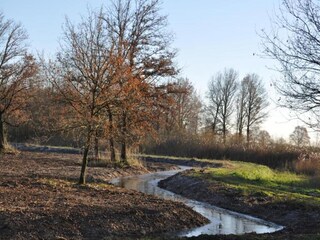 Parc de vacances Roggel Environnement 12