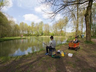 Parc de vacances Roggel Environnement 19