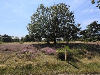 Parc de vacances Roggel Environnement 20