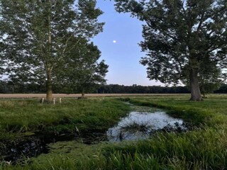 Parc de vacances Roggel Environnement 26