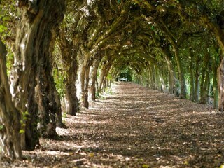 Parc de vacances Roggel Environnement 24