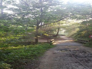 Vakantiepark Roggel Omgeving 25